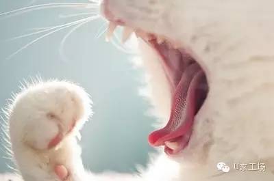 111